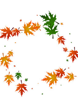 Red Leaves Background White Vector. Foliage Ground Design. Green Seasonal. Nature Texture. Brown Maple Design.