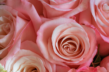Bright beautiful bouquet  pink of roses close up