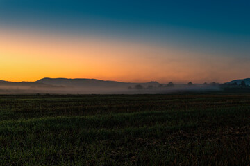 sunsight in the mist