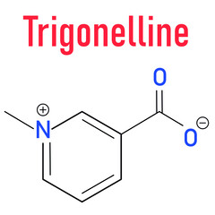 Trigonelline molecule skeletal formula. Metabolite of niacin (vitamin B3) but also found in a number of plants, including fenugreek.