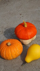 decorative pumpkin yellow orange on a gray stone background autumn harvest cottage garden vegetables