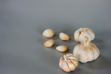 Garlic clove and bulb isolated on white background.