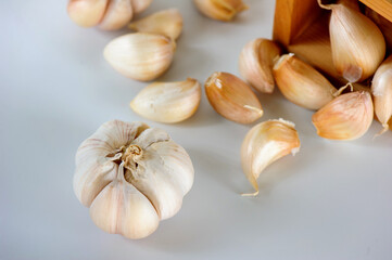 Garlic clove and bulb isolated on white background.