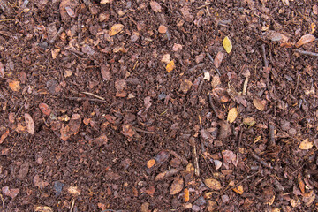 Textured leaves of the Chamchuri tree that have been piled up for a long time become the perfect natural fertiliser soil on the surface background.
