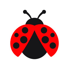 Ladybug or ladybird vector graphic illustration, isolated. Cute simple flat design of black and red lady beetle. © Maksim