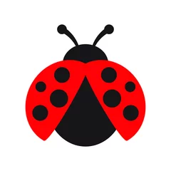 Fotobehang Ladybug or ladybird vector graphic illustration, isolated. Cute simple flat design of black and red lady beetle. © Maksim