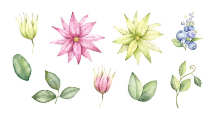 .Flowers and leaves isolated on white background. Watercolor painting for wedding invitations,greeting card and design.