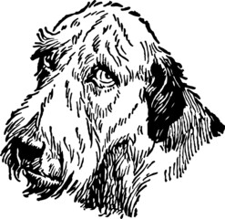 A sad dog hand drawing