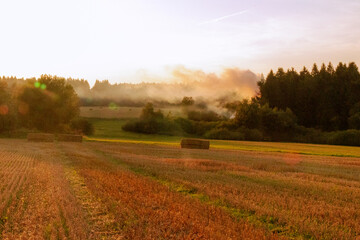Fototapeta premium landscape in the evening