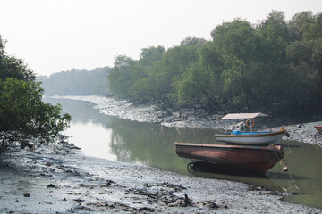 Fototapeta premium Boat in lake with lot of trees surrounding lake