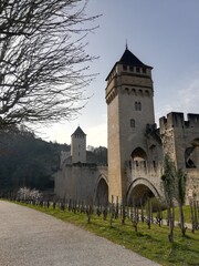 Fototapeta na wymiar Vue sur les vignes et le pont Valentré de Cahors.