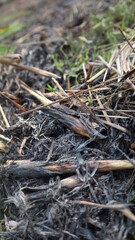 Burning garbage with black ash