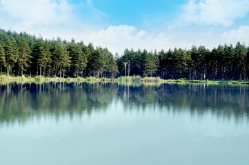 forest lake adventure camping area and nature outdoores
