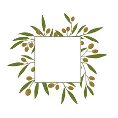 Frame, background with olive branches. Beautiful olive branches for photo, text and design. Vector.