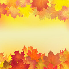 Red, orange, brown and yellow autumn leaves. Vector