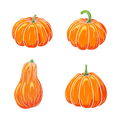 Juicy Pumpkins Collection. Ripe Pumpkin Illustrations Set for stickers, prints, invitation, menu and greeting cards design and decoration. Premium Vector