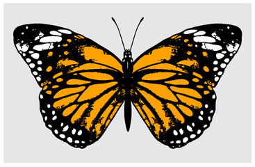 Monarch butterfly. Vector illustration in vintage style isolated on light gray background.