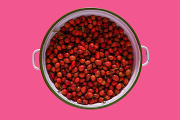 Freshly picked rose hips. Known as the dog rose (Rosa canina). Rose hips fruits in a metal bowl. 