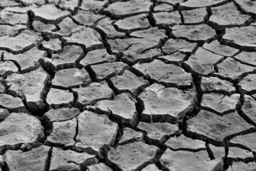 Mudflat cracked desert barren surface for natural background, layer, wallpaper, photo effect. Black and White Monochrome image of drought effects of global warming