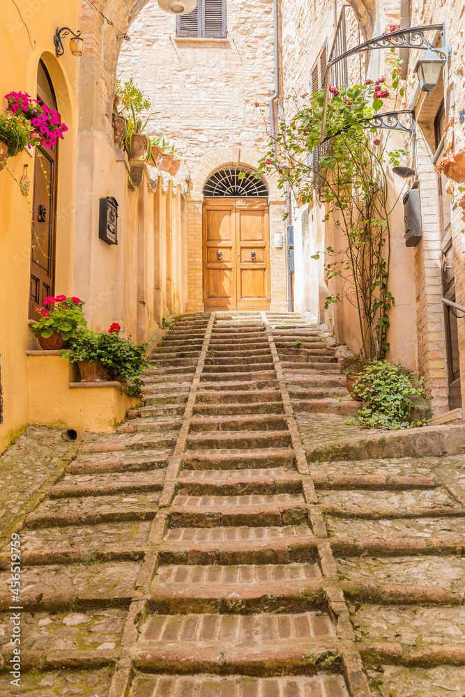 Wall mural flowers in ancient street located in spello village. umbria region, italy.