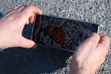Zdjęcie motyla robione aparatem w telefonie 