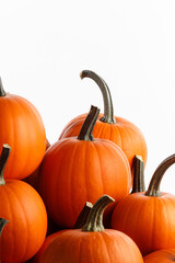 Many orange pumpkins on white