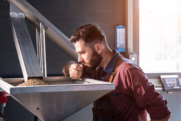 Fototapeta premium A young brewer in a leather apron controls the grinding of malt seeds in a mill at a modern brewery