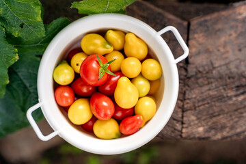 Red and yellow cherry tomatoes in a white bowl on a wooden surface, top view, outdoors