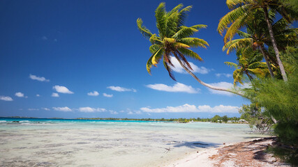 Tikehau ou Tikahau ou Porutu-kai est un atoll situé dans le sous-groupe des Îles Palliser dans...
