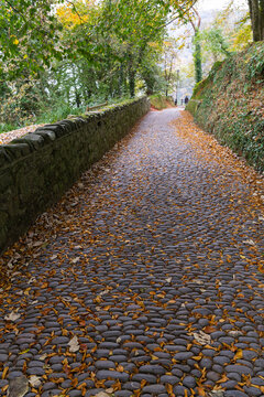 Autumn rustic stone path with yellow fallen leaves in the United Kingdom