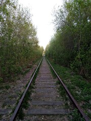 Fototapeta premium railway in the forest