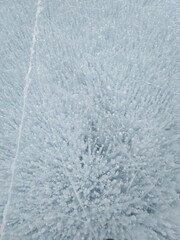 Obraz premium frost on window