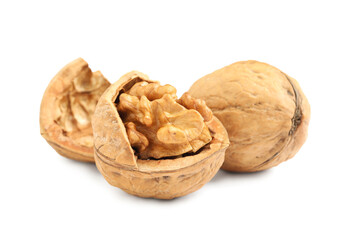 Fresh ripe walnuts in shell on white background
