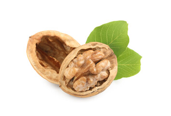 Fresh ripe walnuts with leaves on white background