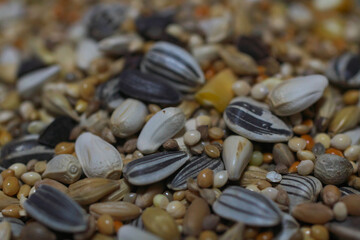 小鳥の餌の雑穀