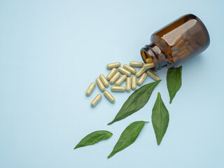 Close-up of Andrographis paniculata capsules spilling out of a drug bottle with green leaves isolated on a light blue background. Space for text. Herbal, medicine, and healthcare concept