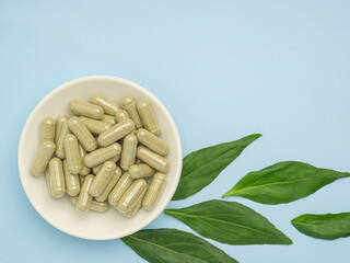 Andrographis paniculata capsules are in a white dish and green leaves are isolated on a blue background. Space for text. Herbal, medicine, and healthcare concept
