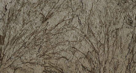 the texture of the grass roots clinging to the wall