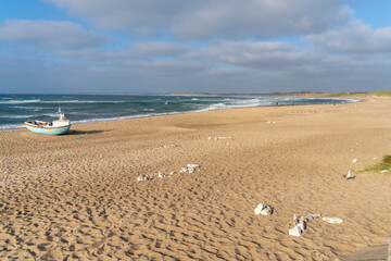 Cold Hawaii, between Agger and Hanstholm in the Thy National Park, Northwest Jutland, Denmark