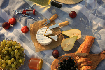 Different tasty snacks on picnic blanket, flat lay
