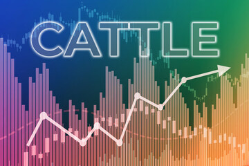Price change on trading Cattle futures on finance background from graphs, charts, columns, pillars, candles, bars, number. Trend Up and Down, Flat. 3D illustration