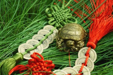 A metal turtle figurine with a Chinese coin in the green grass.