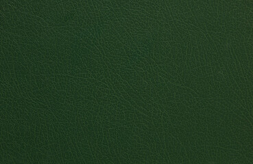 Green fabric texture background. your fresh natural design. Book cover.