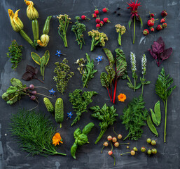 summer herbs and flowers on the dark background
