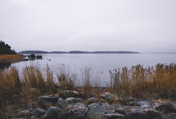 Cloudy and rainy day on a nature conservation area at the seashore in Finland, sea grass, stones and distant trees on the landscape  