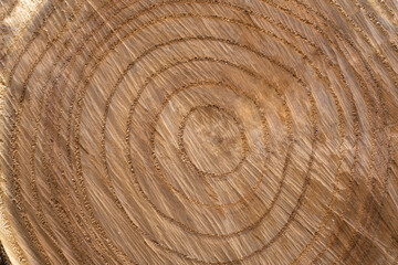 Naklejka premium Background from a cut of natural woodBackground from a cut of natural wood in light brown color