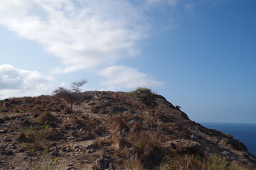 インドネシア　世界遺産コモド国立公園のパダール島