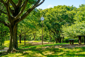 時計がある広場