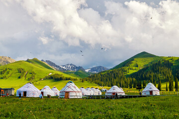 Mongolia yurts in the summer meadows in Nalati scenic spot, Xinjiang Uygur Autonomous Region, China. - obrazy, fototapety, plakaty