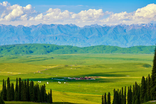 The beautiful scenic of high mountain meadow in Nalati scenic spot, Xinjiang Uygur Autonomous Region, China. © 孝通 葛